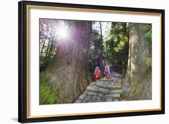 Pilgrims on Daimon-Zaka Nachi Tokaido Pilgrimage Route, Wakayama Prefecture, Honshu, Japan, Asia-Christian Kober-Framed Photographic Print