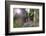 Pilgrims on Daimon-Zaka Nachi Tokaido Pilgrimage Route, Wakayama Prefecture, Honshu, Japan, Asia-Christian Kober-Framed Photographic Print