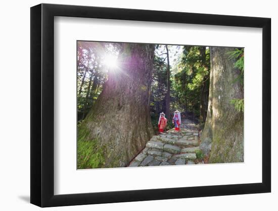 Pilgrims on Daimon-Zaka Nachi Tokaido Pilgrimage Route, Wakayama Prefecture, Honshu, Japan, Asia-Christian Kober-Framed Photographic Print