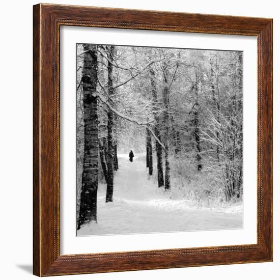 Pilgrims on the Way to the Bogorodichno-Uspenskij Monastery, Tikhvin, Leningrad Region, Russia-Nadia Isakova-Framed Photographic Print