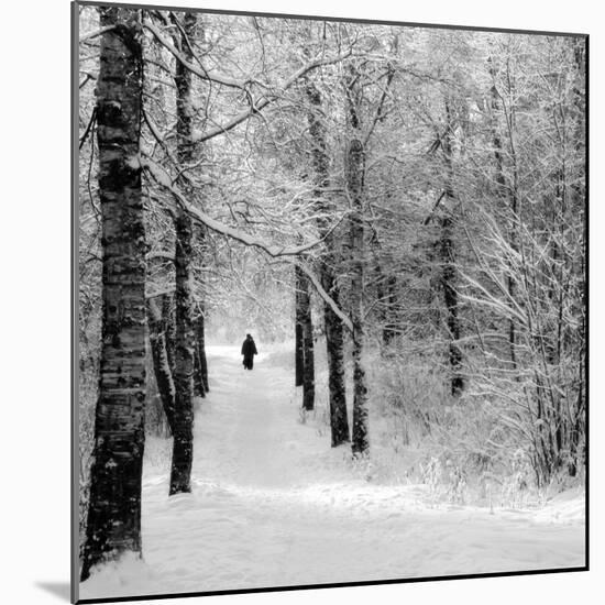 Pilgrims on the Way to the Bogorodichno-Uspenskij Monastery, Tikhvin, Leningrad Region, Russia-Nadia Isakova-Mounted Photographic Print