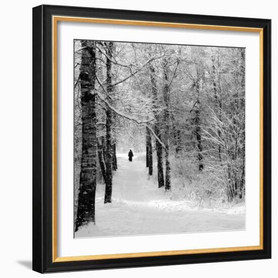 Pilgrims on the Way to the Bogorodichno-Uspenskij Monastery, Tikhvin, Leningrad Region, Russia-Nadia Isakova-Framed Photographic Print