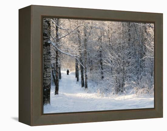 Pilgrims on the Way to the Bogorodichno-Uspenskij Monastery, Tikhvin, Leningrad Region, Russia-Nadia Isakova-Framed Premier Image Canvas