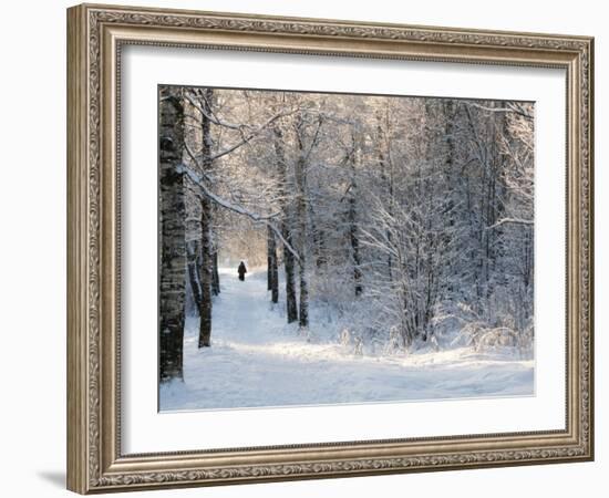 Pilgrims on the Way to the Bogorodichno-Uspenskij Monastery, Tikhvin, Leningrad Region, Russia-Nadia Isakova-Framed Photographic Print