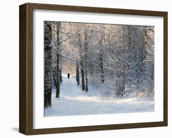 Pilgrims on the Way to the Bogorodichno-Uspenskij Monastery, Tikhvin, Leningrad Region, Russia-Nadia Isakova-Framed Photographic Print