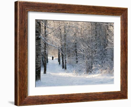 Pilgrims on the Way to the Bogorodichno-Uspenskij Monastery, Tikhvin, Leningrad Region, Russia-Nadia Isakova-Framed Photographic Print