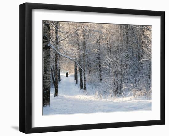 Pilgrims on the Way to the Bogorodichno-Uspenskij Monastery, Tikhvin, Leningrad Region, Russia-Nadia Isakova-Framed Photographic Print