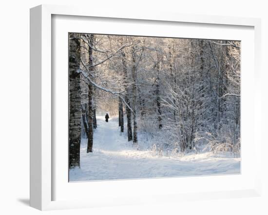 Pilgrims on the Way to the Bogorodichno-Uspenskij Monastery, Tikhvin, Leningrad Region, Russia-Nadia Isakova-Framed Photographic Print