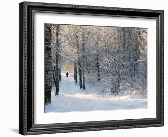 Pilgrims on the Way to the Bogorodichno-Uspenskij Monastery, Tikhvin, Leningrad Region, Russia-Nadia Isakova-Framed Photographic Print