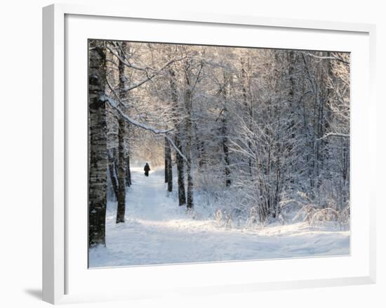 Pilgrims on the Way to the Bogorodichno-Uspenskij Monastery, Tikhvin, Leningrad Region, Russia-Nadia Isakova-Framed Photographic Print