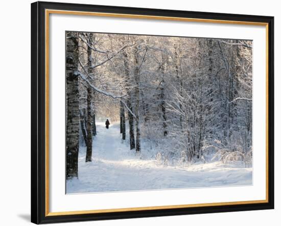 Pilgrims on the Way to the Bogorodichno-Uspenskij Monastery, Tikhvin, Leningrad Region, Russia-Nadia Isakova-Framed Photographic Print