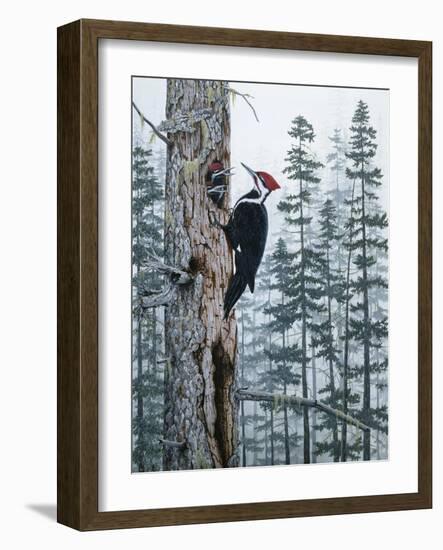 Piliated Woodpeckers-Jeff Tift-Framed Giclee Print