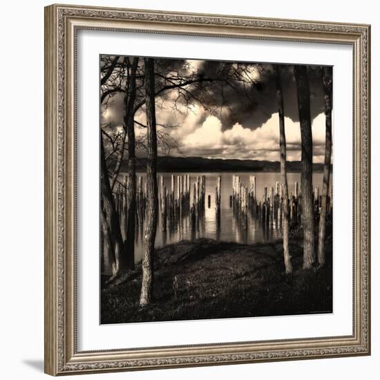 Pilings at the Riverbank-Jody Miller-Framed Photographic Print