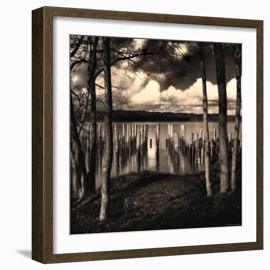 Pilings at the Riverbank-Jody Miller-Framed Photographic Print