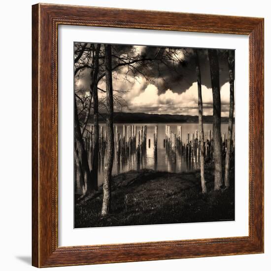 Pilings at the Riverbank-Jody Miller-Framed Photographic Print