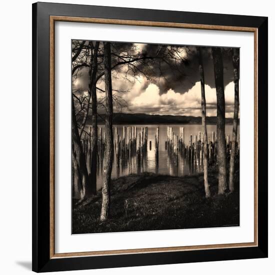 Pilings at the Riverbank-Jody Miller-Framed Photographic Print