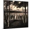Pilings at the Riverbank-Jody Miller-Mounted Photographic Print
