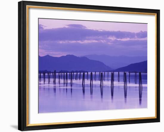 Pilings Reflecting in Calm Water, Pend Oreille River, Washington, USA-Jamie & Judy Wild-Framed Photographic Print