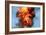 Pillar of Fire Due To Explosion-David Nunuk-Framed Photographic Print