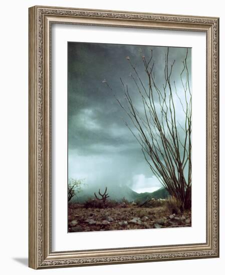 Pillar of Rain Descending From Thunderhead Onto Desert-Loomis Dean-Framed Photographic Print
