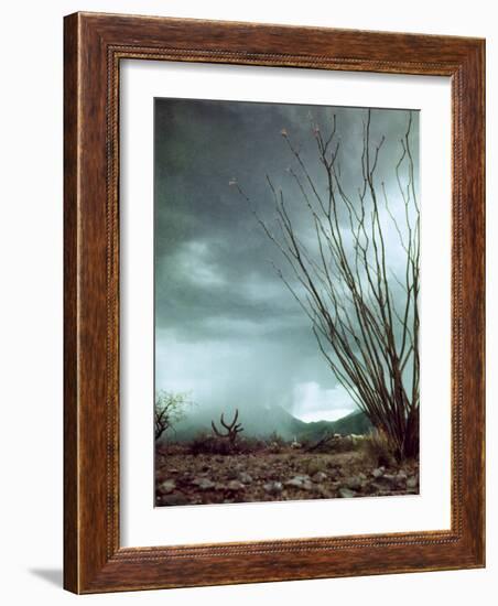 Pillar of Rain Descending From Thunderhead Onto Desert-Loomis Dean-Framed Photographic Print