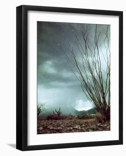 Pillar of Rain Descending From Thunderhead Onto Desert-Loomis Dean-Framed Photographic Print