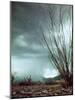 Pillar of Rain Descending From Thunderhead Onto Desert-Loomis Dean-Mounted Photographic Print