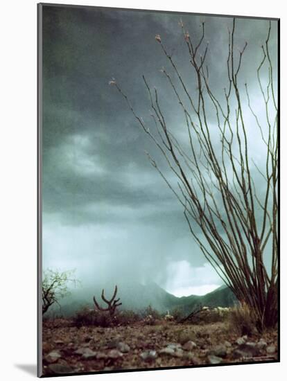 Pillar of Rain Descending From Thunderhead Onto Desert-Loomis Dean-Mounted Photographic Print