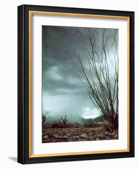 Pillar of Rain Descending From Thunderhead Onto Desert-Loomis Dean-Framed Photographic Print