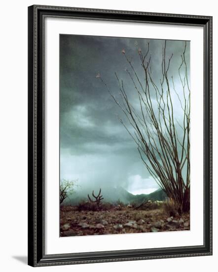 Pillar of Rain Descending From Thunderhead Onto Desert-Loomis Dean-Framed Photographic Print