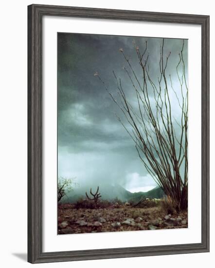 Pillar of Rain Descending From Thunderhead Onto Desert-Loomis Dean-Framed Photographic Print