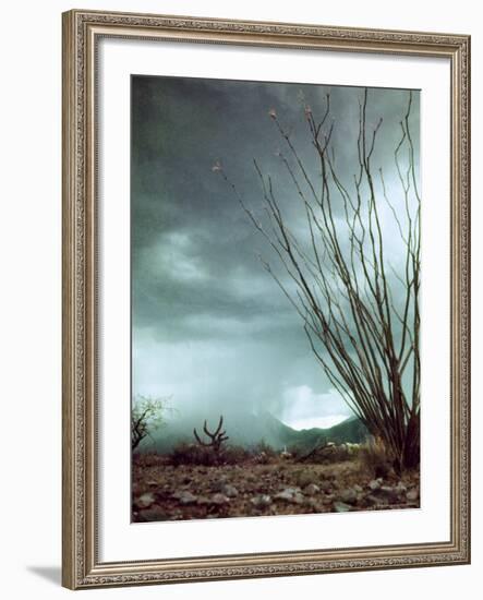 Pillar of Rain Descending From Thunderhead Onto Desert-Loomis Dean-Framed Photographic Print