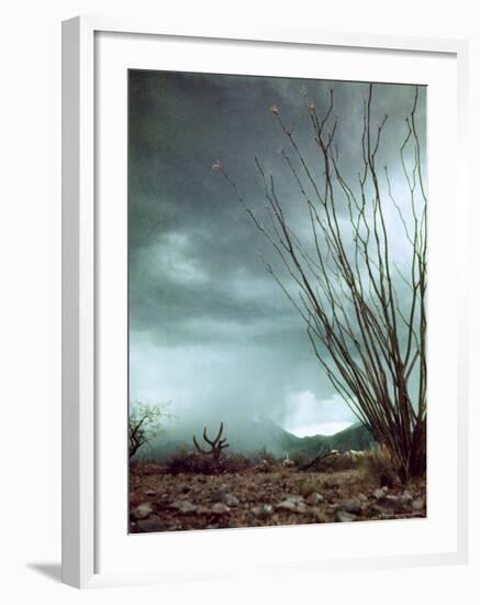 Pillar of Rain Descending From Thunderhead Onto Desert-Loomis Dean-Framed Photographic Print