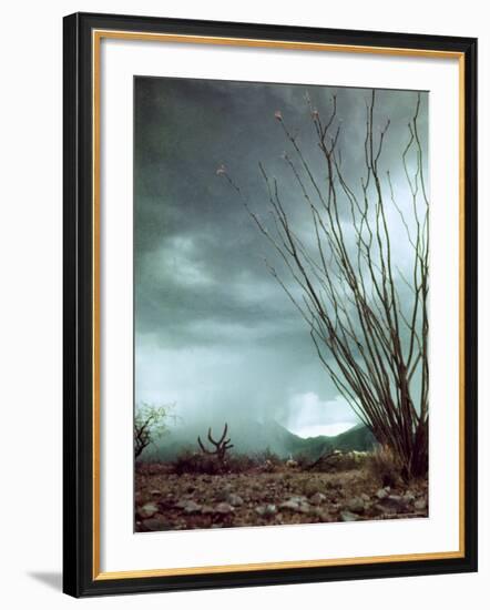 Pillar of Rain Descending From Thunderhead Onto Desert-Loomis Dean-Framed Photographic Print