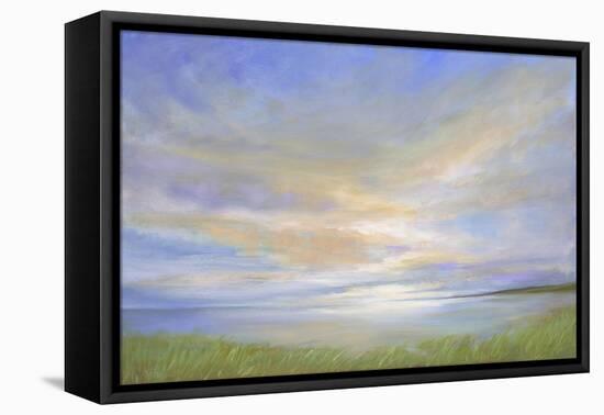 Pillar Point Sky-Sheila Finch-Framed Stretched Canvas