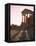 Pillars of the Church of St. Servus in the Roman Ruins of Sbeitla, Tunisia, North Africa, Africa-Dallas & John Heaton-Framed Premier Image Canvas