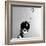 Pillbox Hat with Feather, 1960s-John French-Framed Premium Giclee Print