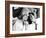 Pillow Talk, Doris Day, Rock Hudson, 1959-null-Framed Photo