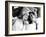 Pillow Talk, Doris Day, Rock Hudson, 1959-null-Framed Photo