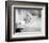 Pillow Talk-null-Framed Photo