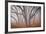 Pilot Road Trees-David Winston-Framed Giclee Print