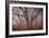 Pilot Road Trees-David Winston-Framed Art Print