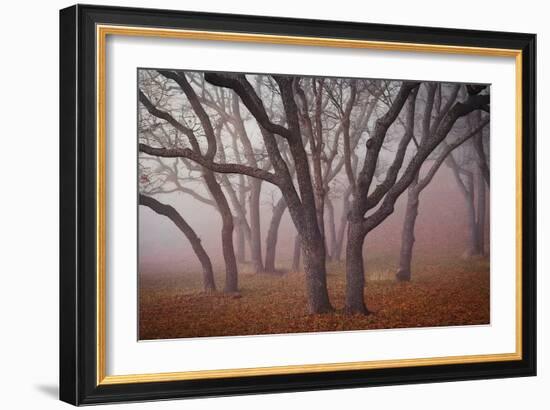 Pilot Road Trees-David Winston-Framed Art Print