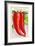 Piment Rouge Long Ordinaire-null-Framed Art Print