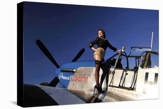 Stretched Canvas Print, , large