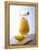 Piña Colada-Klaus Arras-Framed Premier Image Canvas