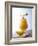 Piña Colada-Klaus Arras-Framed Photographic Print