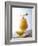 Piña Colada-Klaus Arras-Framed Photographic Print