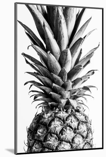 Pinapple Black a White 03-1x Studio III-Mounted Photographic Print