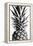 Pinapple Black a White 03-1x Studio III-Framed Premier Image Canvas